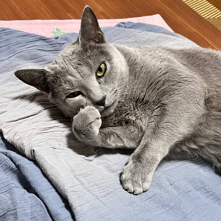 84c99bd6 88ab 48d9 88e0 76bb9a2d6c1b 1663375847003