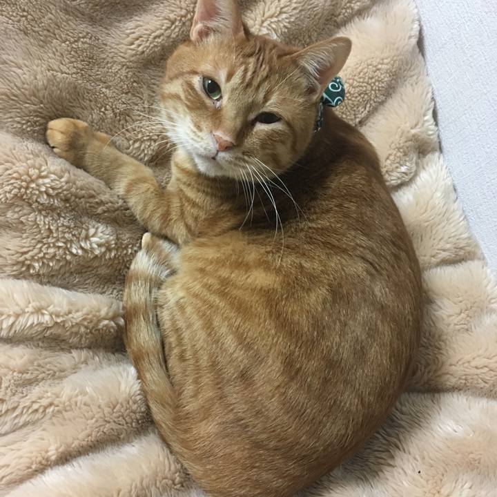 84c9cac5 325a 4045 a42e 56a19e1880b5 1546867749737