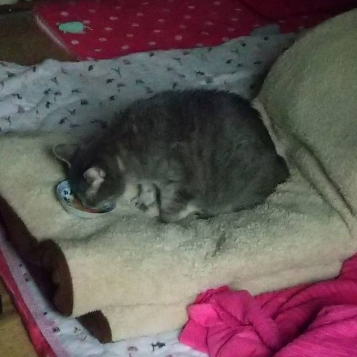 84c9eb6e dffa 421d 8da9 36fc046ef3a2 1668419275784