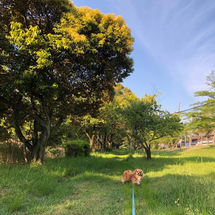 84ca1b5a f402 4f2f 87d2 c88780aecbcb 1557439959692