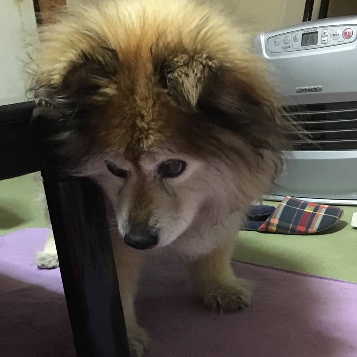 84ca8a91 a1a8 4ecd a805 203c14d4d463 1609291504960