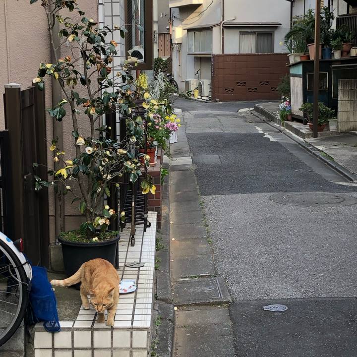 84ca90bc 804d 4854 a956 a4023fb6053c 1554473470019