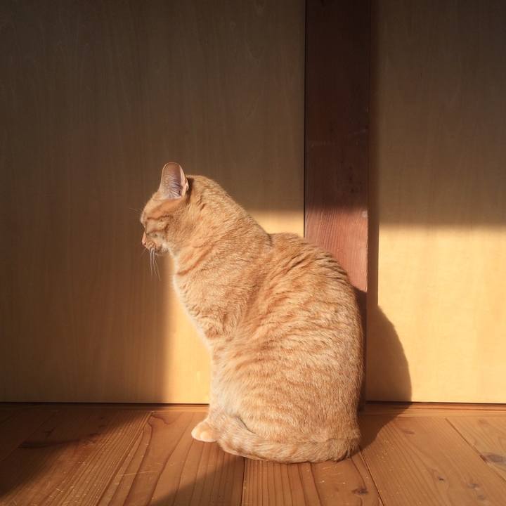 84cac431 51f7 4381 aa1c a7fcd8217b56 1519430105294