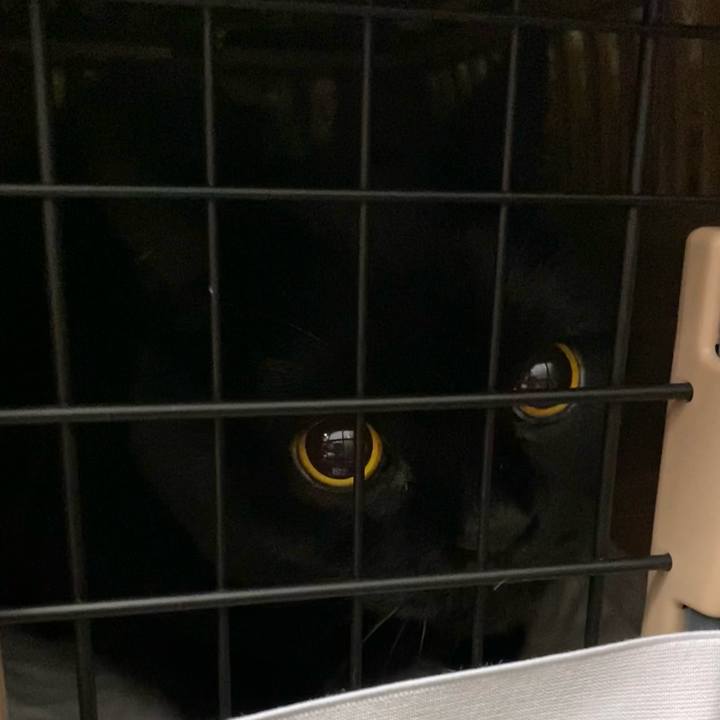 84caf828 95af 43cc 8baa e83cd1d0c32c 1707559616322