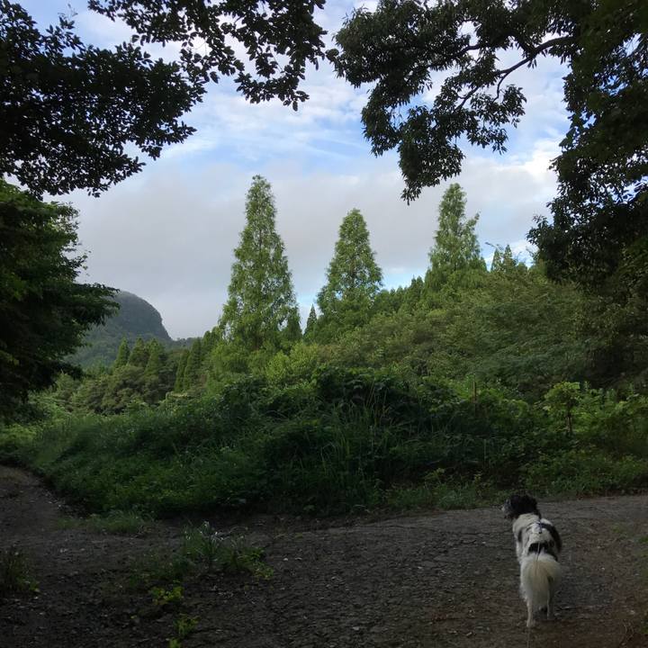 84cb462d 3d32 46ab a213 9109148d0765 1534049507359