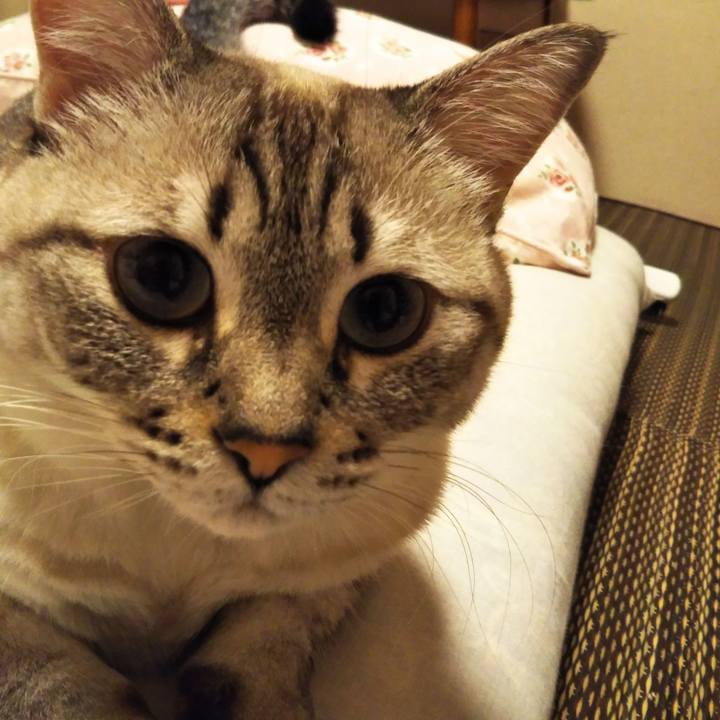 84cb5bf9 b40e 4f9b a67d e85829dc6ee2 1570897292336