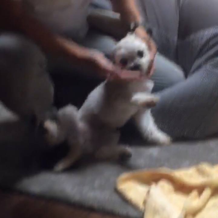 84cb6282 b9e0 4310 a441 7380d3235a3e 1538087126495