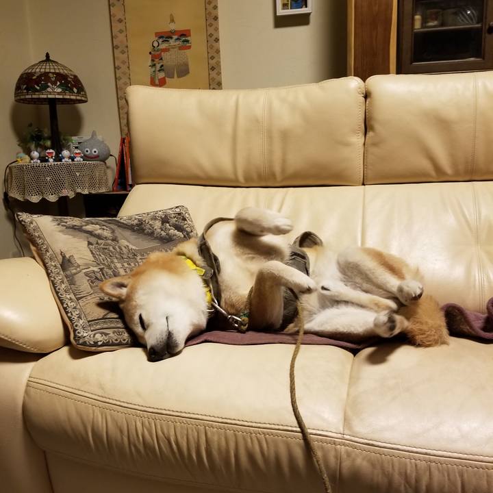 84cb75f7 3b29 4ca2 bf27 b7b9d5cb273e 1678622733306