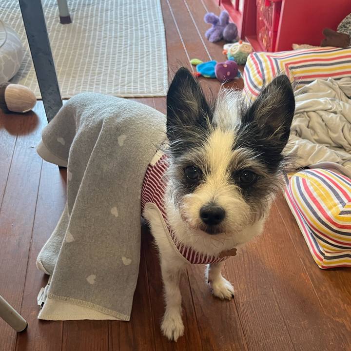 84cb9b67 5e13 49c4 81ed 621ab537e74e 1724991195928