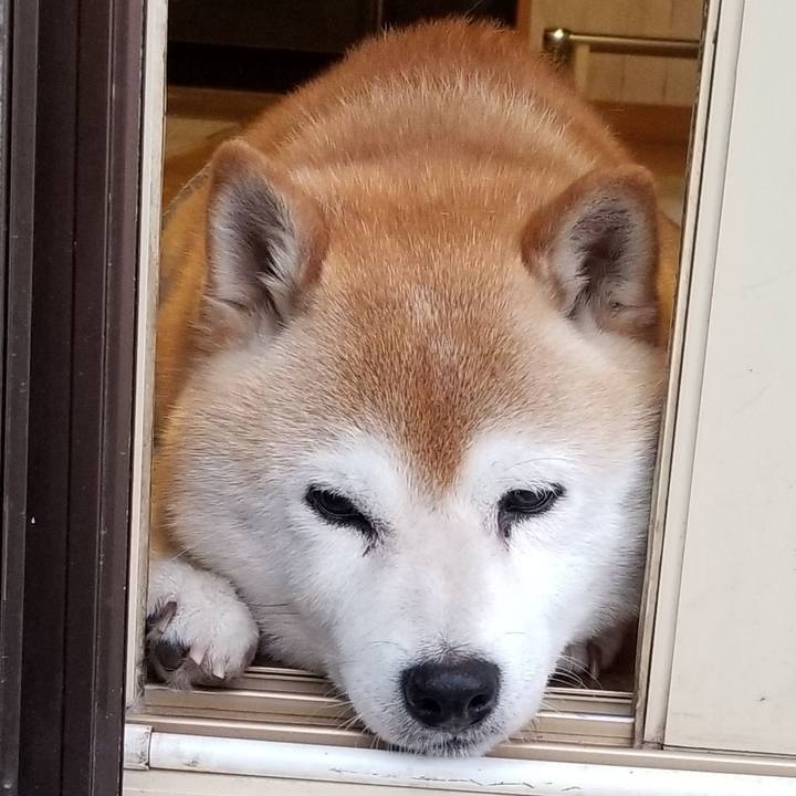 84cba15e 6163 4685 b592 b4e5f3cdc9a7 1656321094551