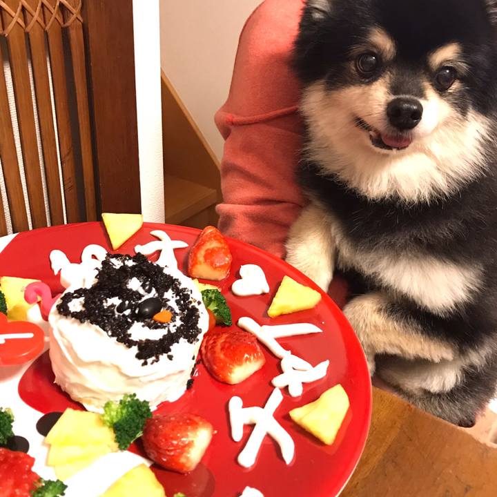 84cc08c9 32cf 4890 af96 4ff4844f87b7 1609249085249