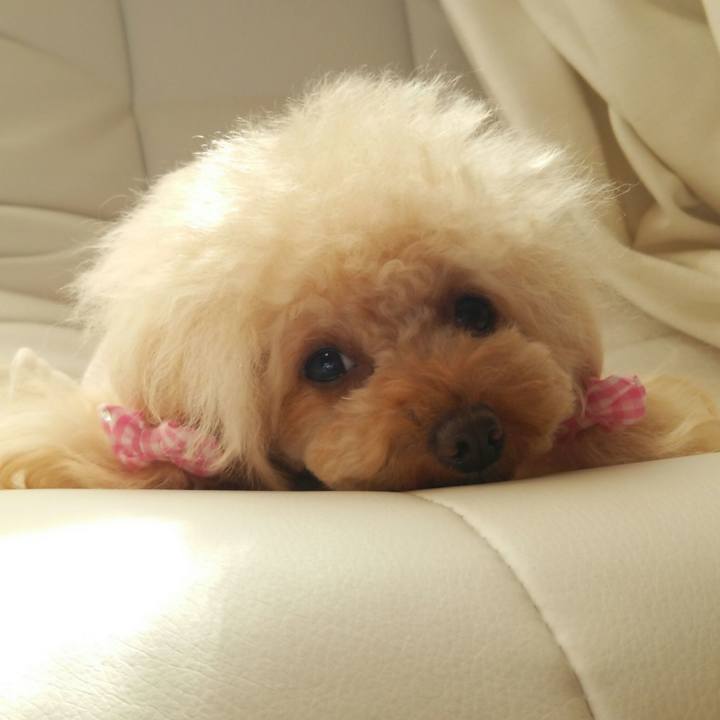 84cc22d2 48e9 4a97 9b16 efe351689ea2 1515585189964