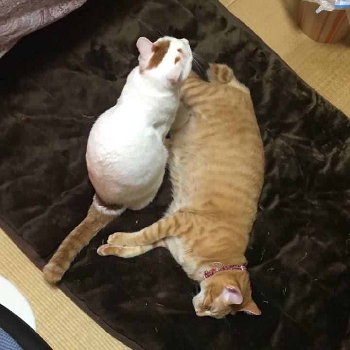 84cc3f2f f160 4777 aa9a 8e96324a5465 1515765248925