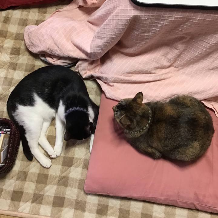 84cc576c 7de7 4c7c a6ec 75724421dfab 1640930627712