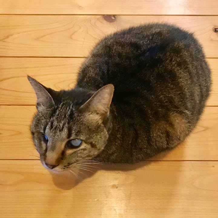 84cc6091 7fb8 489d 9c58 4fd75b2cca58 1554946831383