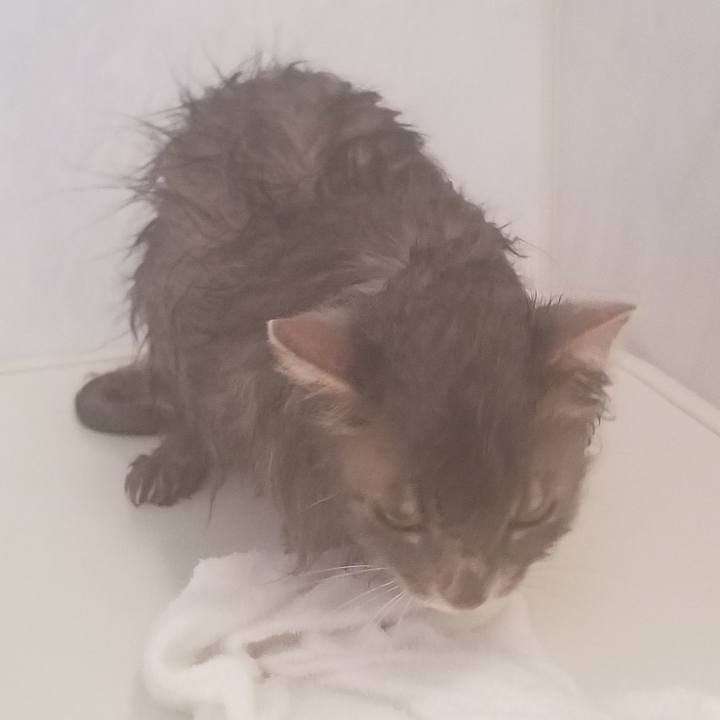 84cc65fd a6cb 48c8 87e9 eb82e745a5fe 1557013460282