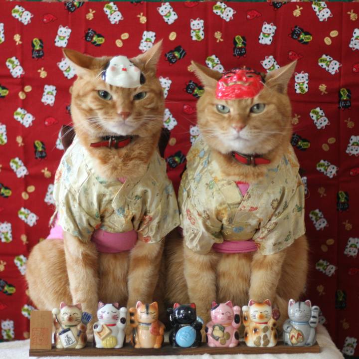 84cc713e e363 4e1d 810b 9842fee06d99 1517531810644