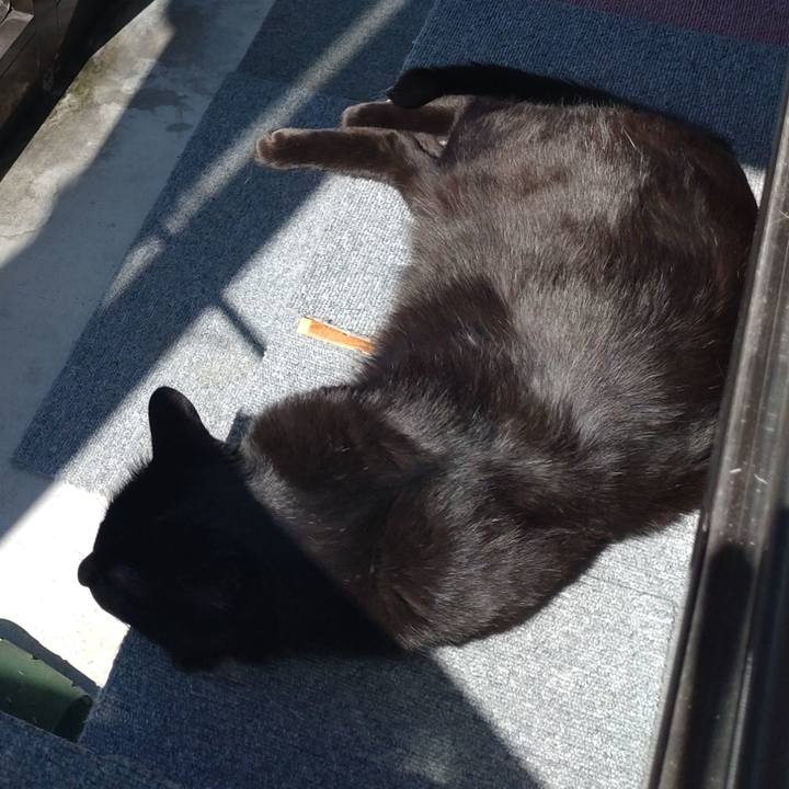 84cc8469 3088 4111 a049 544afedd50cd 1683001744327