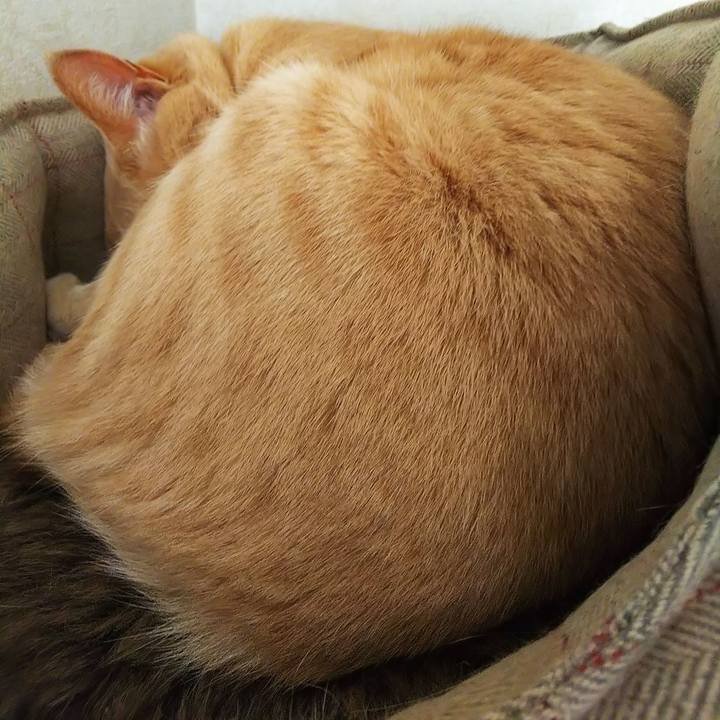 84cccb32 9098 4493 874b 73483646a8aa 1621229719723