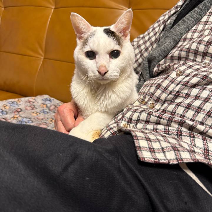 84ccf0e3 528f 4a1a 8de7 330eef1b7687 1765011110391