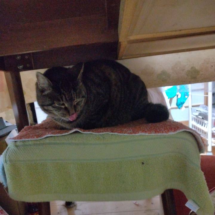 84ccf6af 410f 4922 8181 f47337998b1e 1705008927139