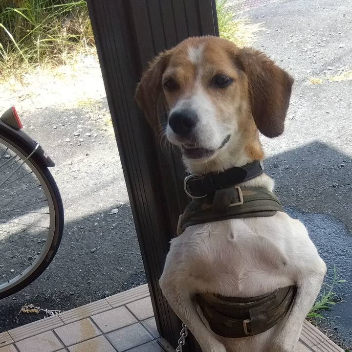 84ccfb53 402c 4362 877b a437347aa9f5 1690690941848