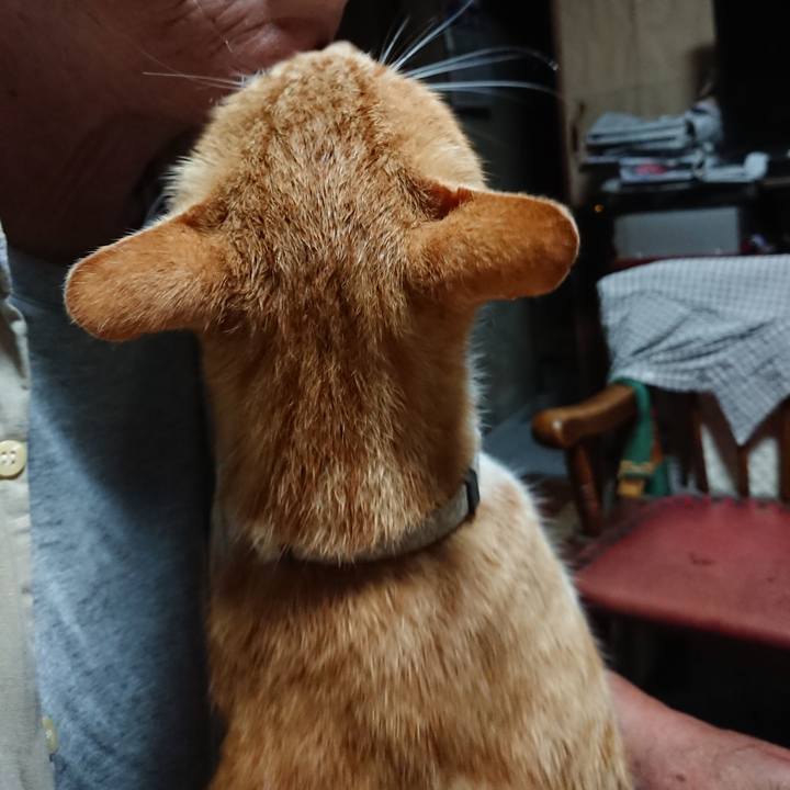 84cd47eb 2848 49a0 8512 35c4fb4f98ba 1595966334536