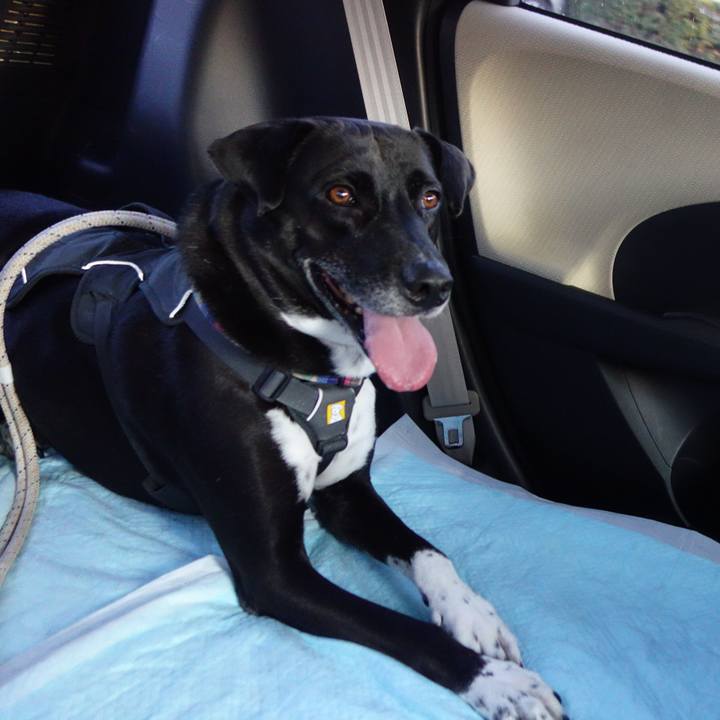 84cd6da0 b48d 4053 9317 867821e4707d 1658488204812