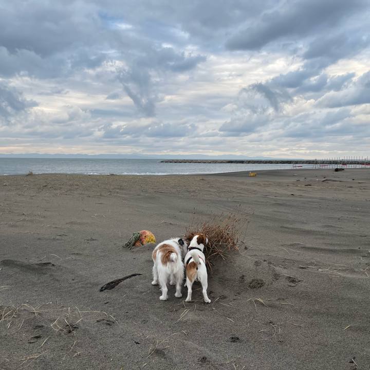 84cd6de3 038d 496e a3ac 4abf9963d7a6 1637020765178