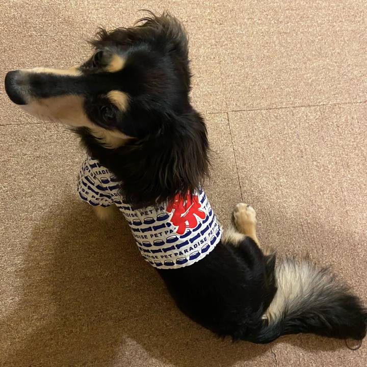 84cd6f95 6ce2 465f afc1 865635d0e918 1689332021049