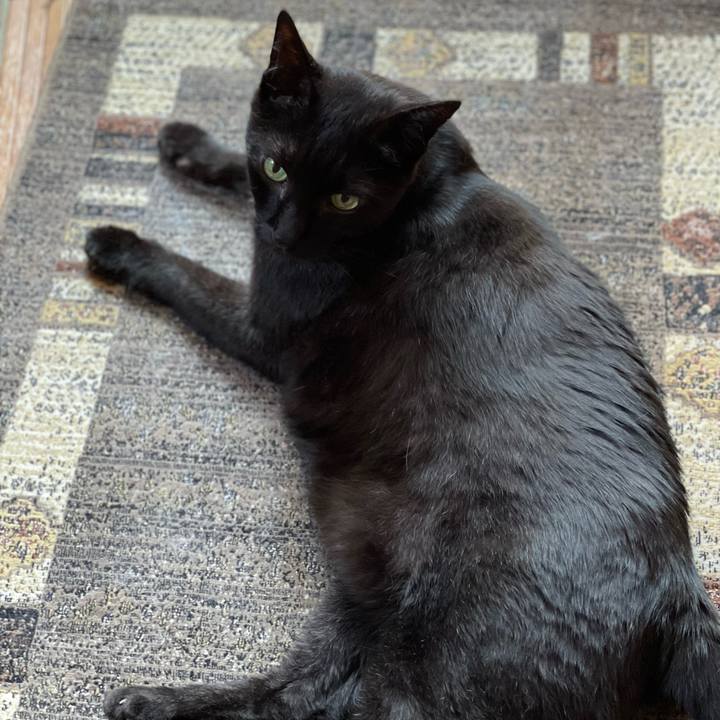 84cd9ecf c510 4b7e b1a9 52a02c4fa98f 1656815181584