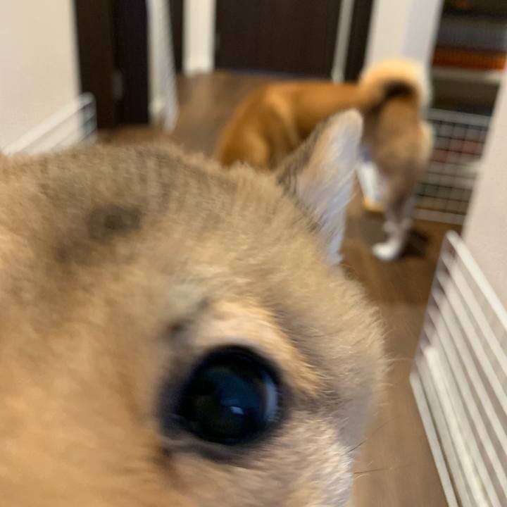 84cdc2d4 1f7e 4d7a b06d 80adef8e06da 1619993846553