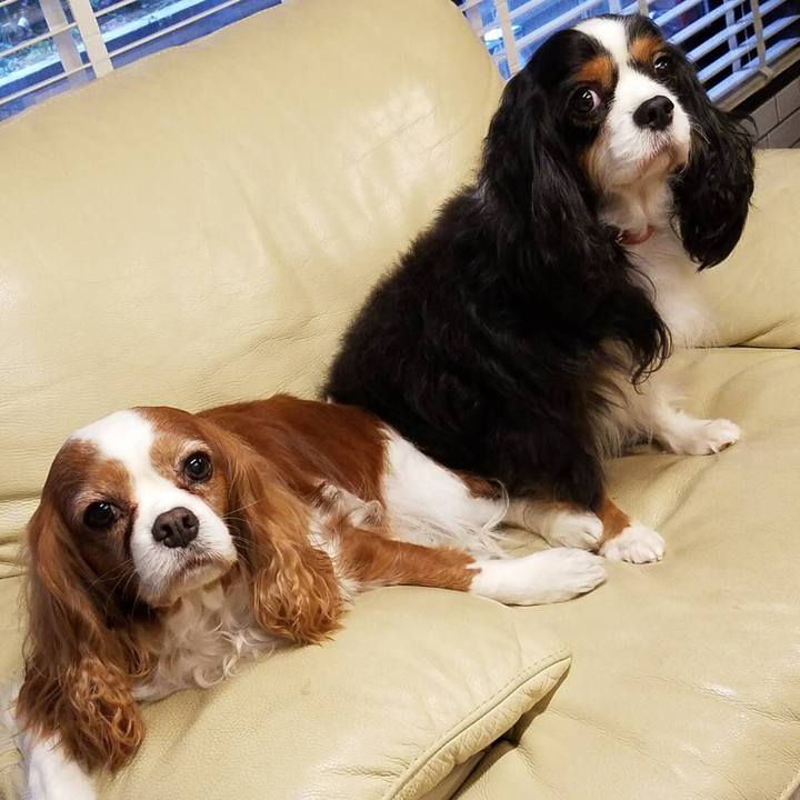 84cdd892 8a82 4d1d 8797 3766af80c1e2 1517131300739