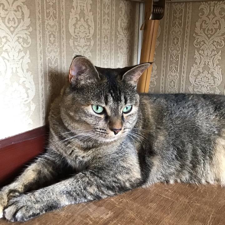 84cdde24 9bad 4dd0 bcb1 a292d42eb29d 1691324868743