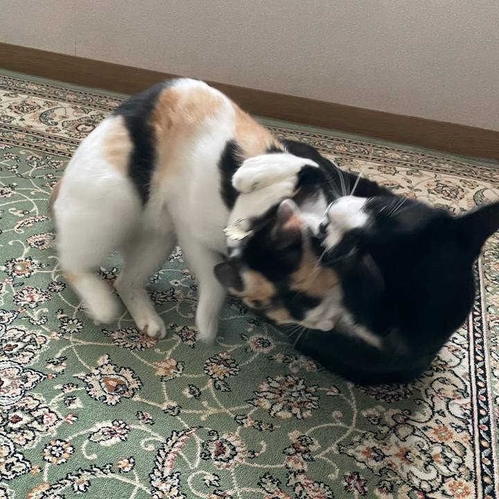 84ce06e5 cf55 40c2 a706 507a00defa77 1676864829344