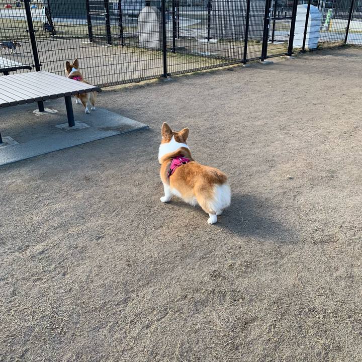 84ce0c6b 5e7c 48f6 a650 0a263cce99ee 1701319392033