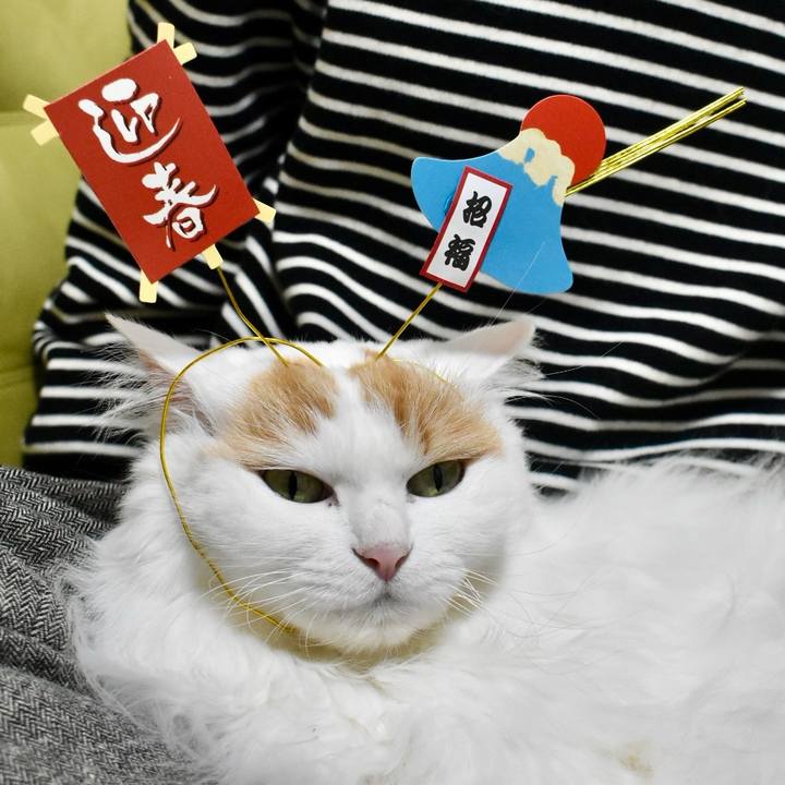 84ce4754 65cb 40f6 a712 a9cf815034a5 1767319992272