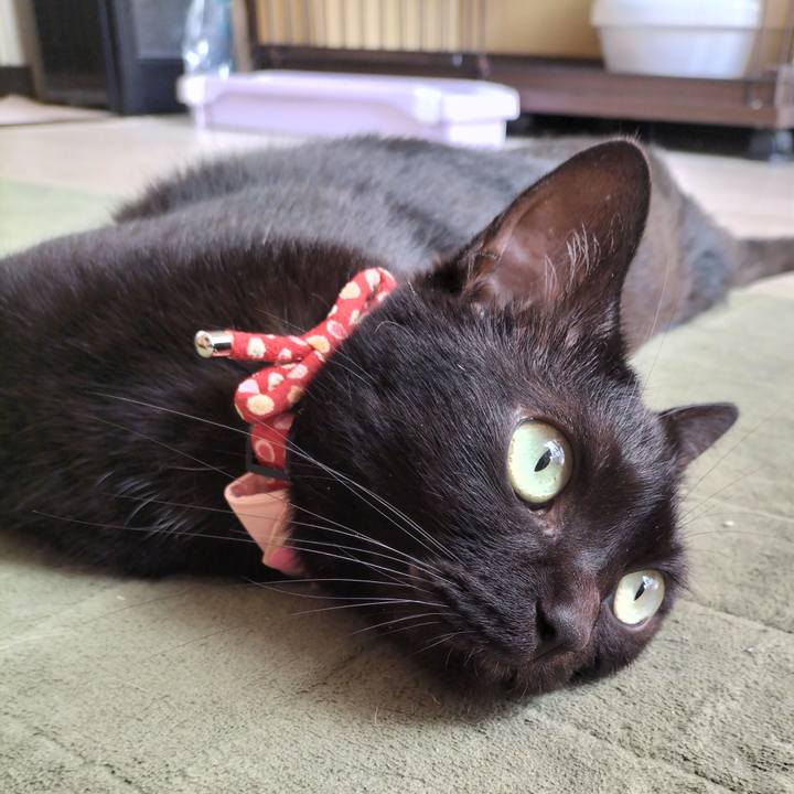 84ce51ea 5a40 4824 a46a 55ed01f7b3ab 1632098460479