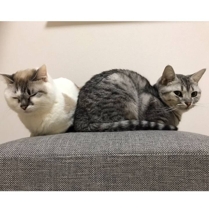 84ce7ee8 3db9 45d0 8d6a 9050f796ae89 1549023305620