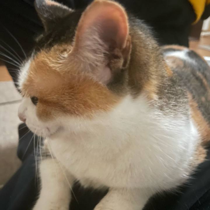 84ce8db1 f7ee 4da9 be8e fd3b7fbf00db 1669294415007