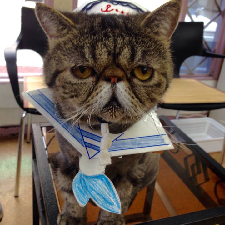 84ce8fb4 0160 496f b0c4 3da581b2a784 1512862699920