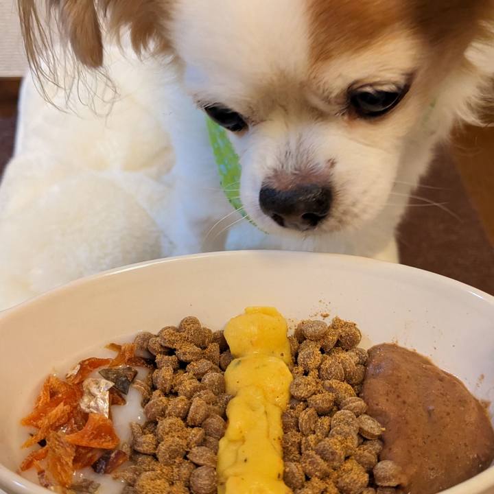 84cea228 303f 4d3f 9550 12ddf7dd3f5b 1674385589744