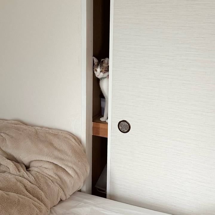 84ceb915 1ba8 4535 9c8d da405f6fea61 1769145284325