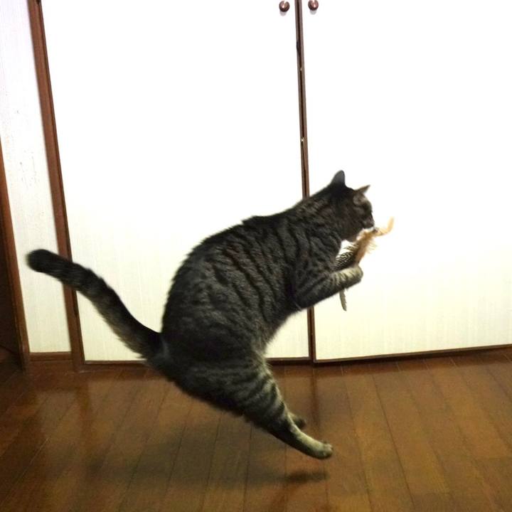 84cebe74 93dd 4cd7 8b28 c941e3e073d1 1682513866486