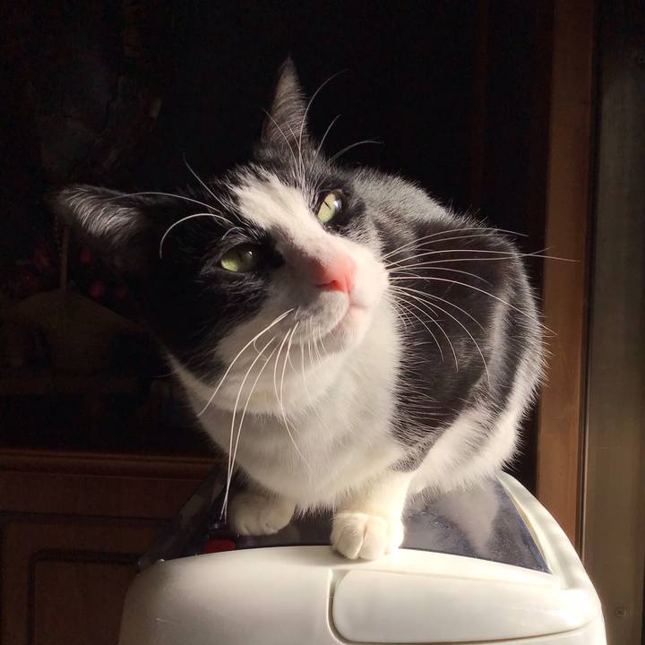 84cebeb6 f8d3 4556 9bc9 08b4031bbf95 1735363507907