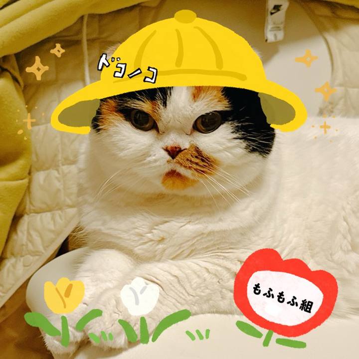 84cef6a0 fa81 4e18 a84a 948d77c18f33 1712264397154