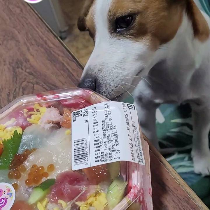 84cf02cb 8889 4fcb 9d2b f71dd2d8f405 1677840682172