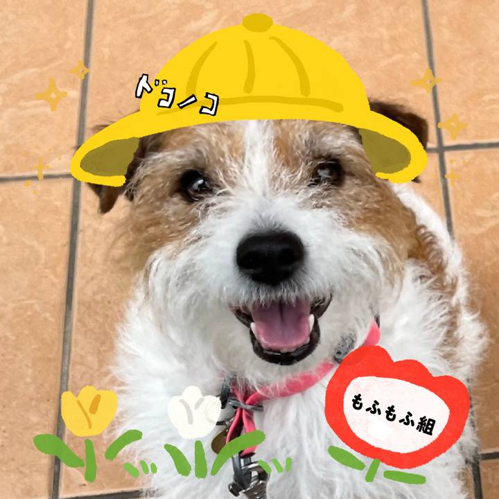 84cf0aab f465 43c7 9a29 339305f985db 1712292494106