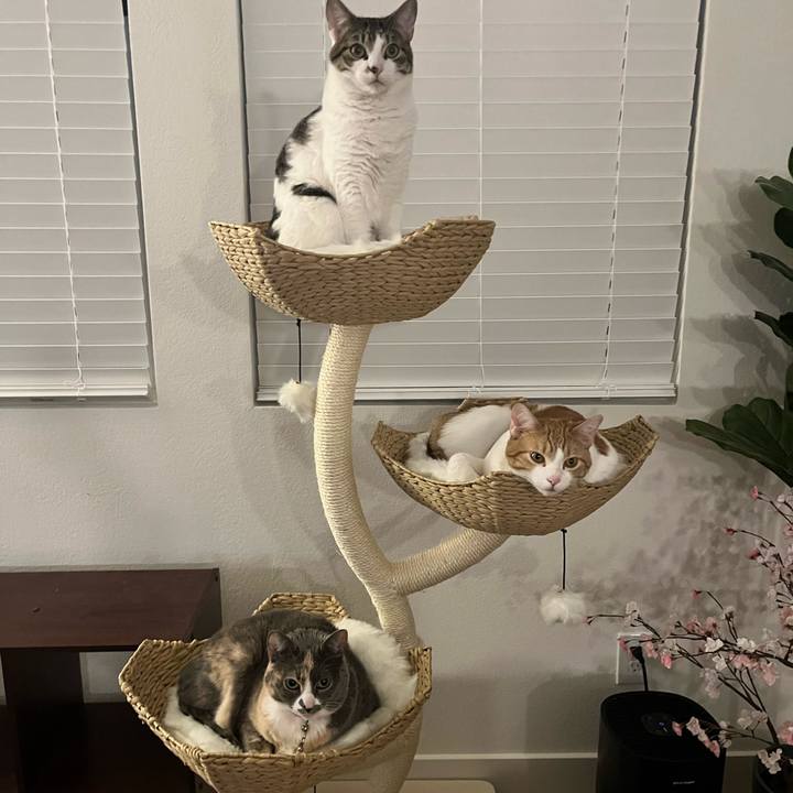 84cf1165 81d0 4086 a6e1 9be2f858be71 1768541067618