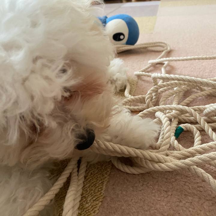 84cf135c 13f3 4436 87da 540f67fae350 1744960148875